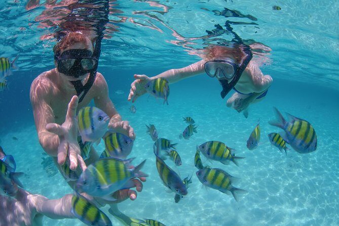 Private Luxury Sailing Cruise in Los Cabos with Lunch and Open Bar - The Experience and Its Value