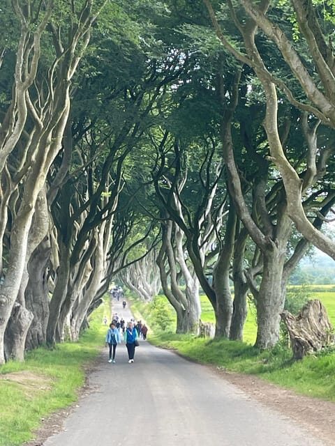 Private luxury tour of Belfast & giants causeway tickets inc - What makes this tour stand out?