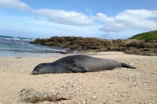 Private luxury tour of Oahu island - FAQ