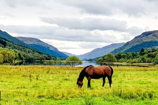 Private Luxury Tour of The Highlands and Loch Ness From Glasgow - Summary of the Experience