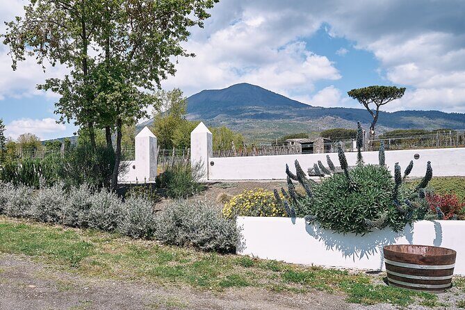 Private Luxury Transfer from Rome to Sorrento or Amalfi Coast - Deep Dive into the Experience