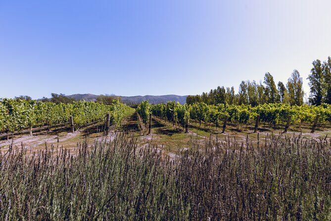 Private Luxury Transportation Experience - Sonoma - FAQ