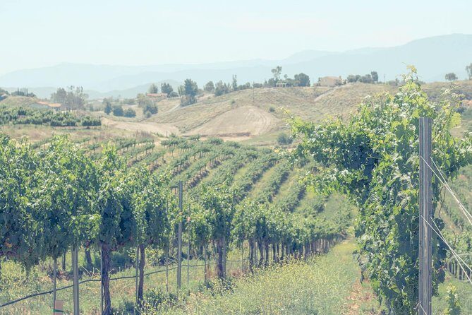 Private Luxury Transportation Experience - Temecula Valley - Pricing and Value