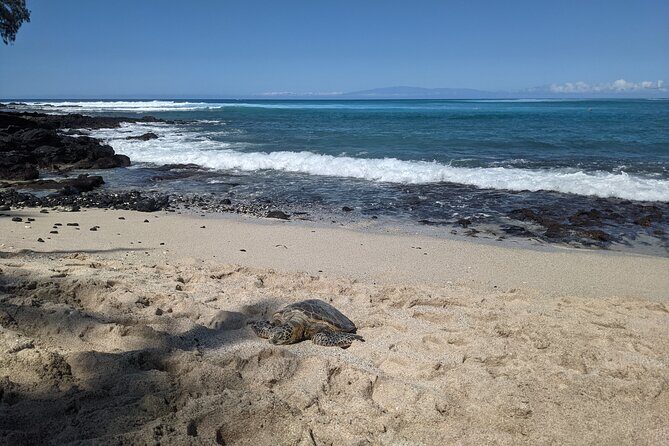 Private Luxury Van with Driver to Big Island Destinations of Your Choice - Who Should Consider This Tour?