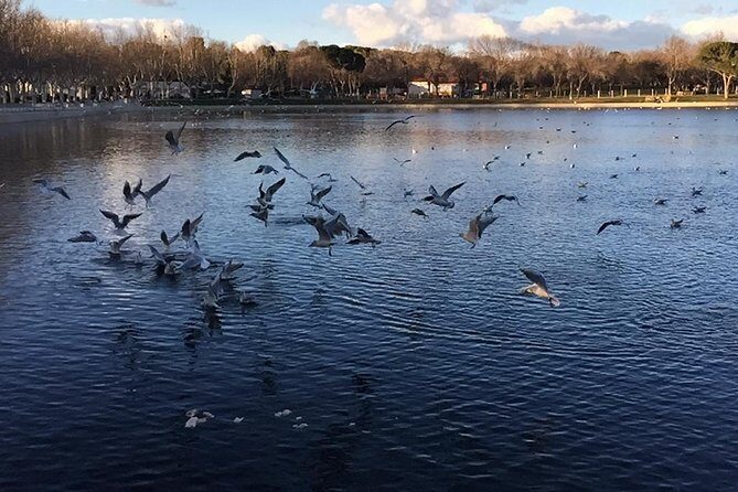 Private Madrid Fullday Guided Tour with Dlx Car - The Bottom Line: Is It Worth It?