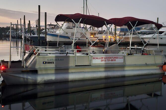 Private Manatee Swim Crystal River FL 6 Passenger Max Free Photos - The Value of a Private Tour