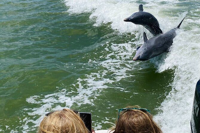 Private Marco Island / 10,000 Islands Sightseeing & Dolphin Tour - Final Thoughts