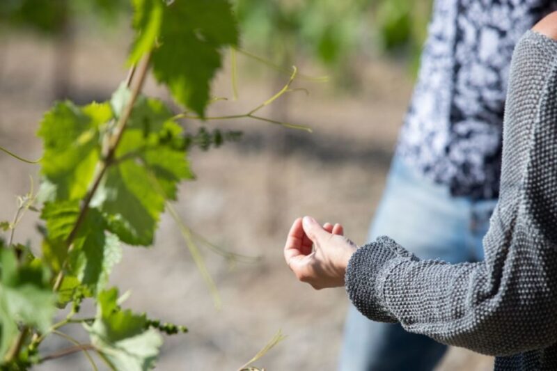 Private : Margarites village-Arkadi Monastery-Patsos Gorge - Who Is This Tour Best Suited For?