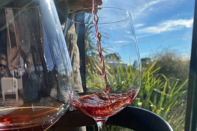 Private Martinborough Wine Tour for Wine Enthusiasts - Key Points