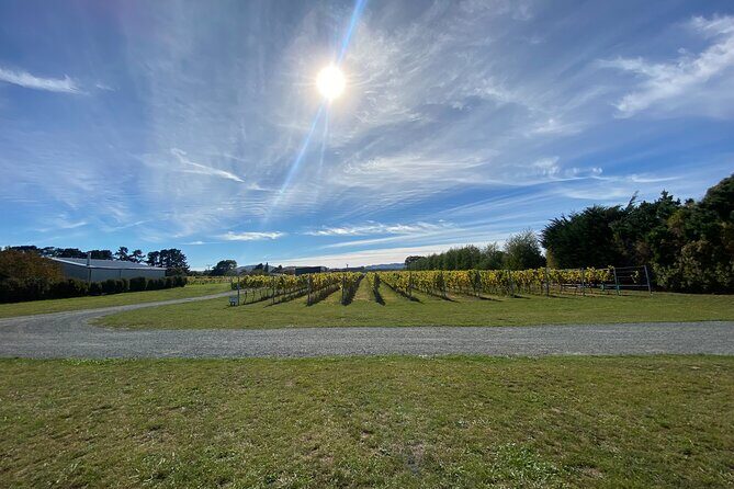 Private Martinborough Wine Tour for Wine Enthusiasts - FAQs