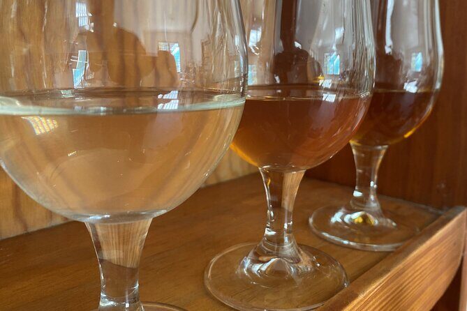 Private Mead Taste Experience in Lourdes - Discovering the Sweet Side of Lourdes: Private Mead Taste Experience