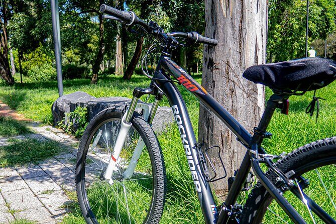 Private Mexico City Biking Tour - What We Loved (and What to Consider)