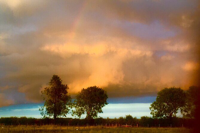 Private Miniature Horse Walking near Lincoln - Who Should Consider This Tour?