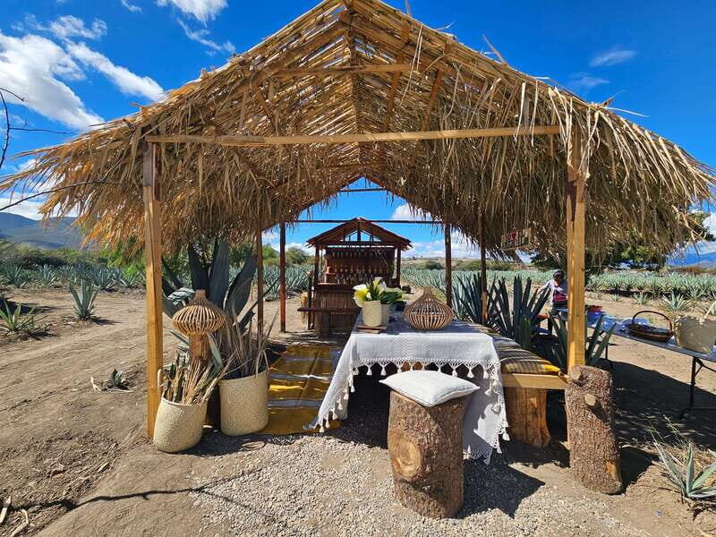 Private Mitla, Hierve el agua and Mezcal Tour with Lunch - FAQ