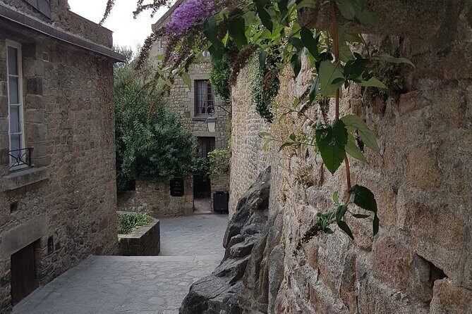 Private Mont Saint Michel tour from Bayeux - Who Should Book This Tour?