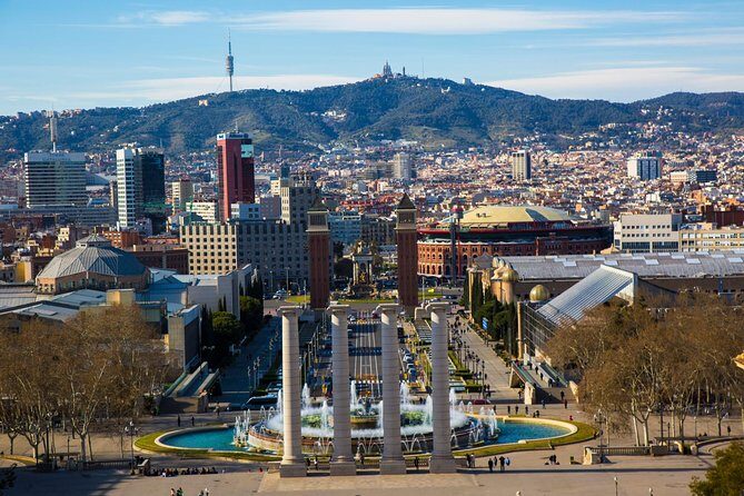 Private Montjuic Mountain Tour with Visit to Olympic Park and Plaza España - Who Should Consider This Tour?