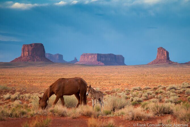 Private Monument Valley Tour - Discover the Beauty and Culture of Monument Valley with a Private Tour