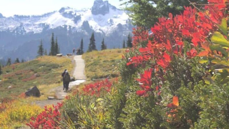 Private Mount Rainier tour from Portland - FAQ