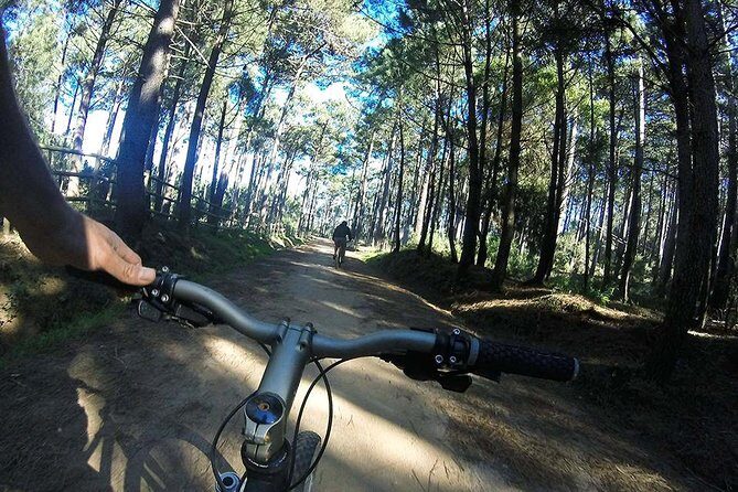 Private Mountain Biking Adventure in Sintra Cascais Park - The Itinerary: A Ride Through Natural Beauty