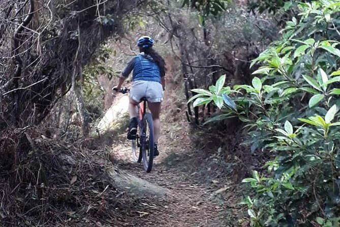 Private Mountain Biking Adventure in Sintra Cascais Park - Who Should Consider This Tour?