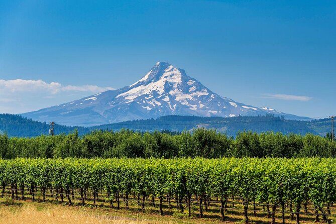Private Mt Hood Waterfall Tour with Lunch and Wine included - Key Points