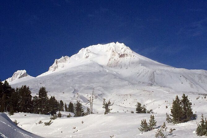 Private Mt Hood Waterfall Tour with Lunch and Wine included - What to Expect on the Tour: An In-Depth Look
