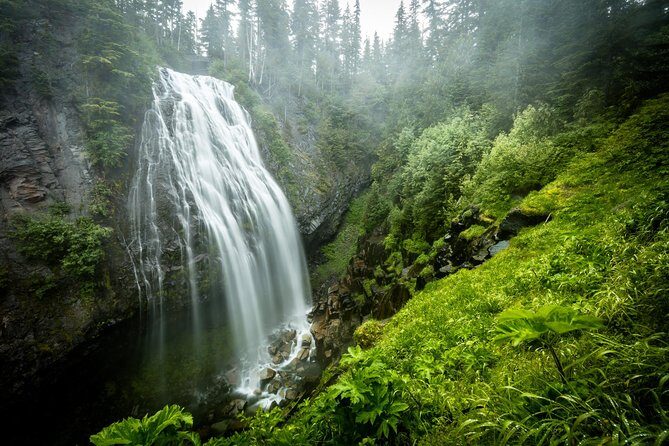 Private Mt Rainier National Park Day Trip from Seattle - What Sets This Tour Apart