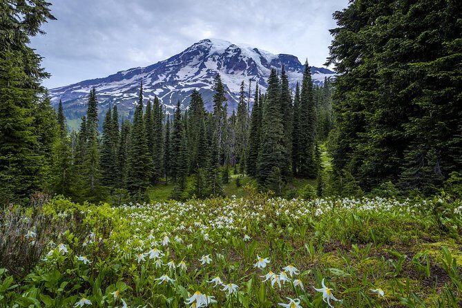 Private Mt Rainier National Park Day Trip from Seattle - Frequently Asked Questions