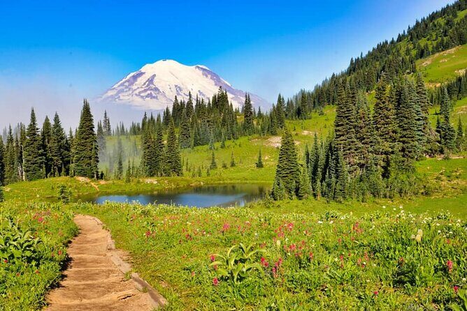 Private Mt Rainier National Park Tour in SUV - What to Expect from the Experience