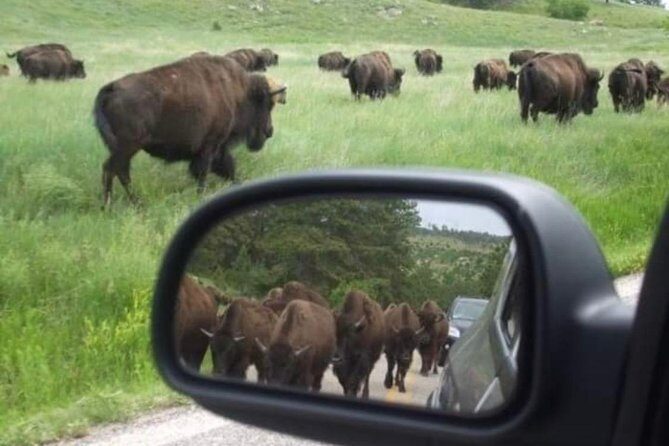Private Mt Rushmore, Crazy Horse, Custer State Park Monument Tour - Who Should Consider This Tour?