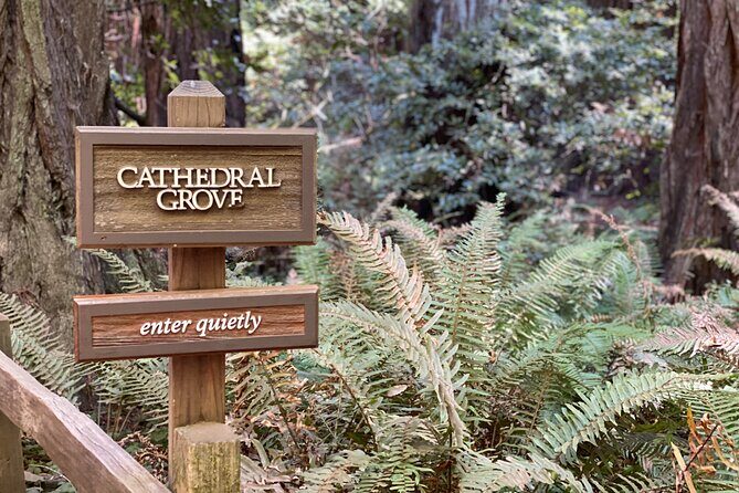 Private Muir Woods Tour Via Luxury Tesla - Setting Expectations for the Tour