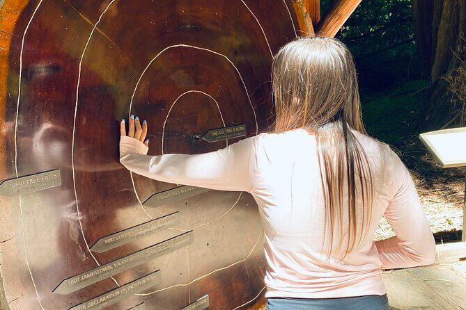 Private Muir Woods Tour Via Luxury Tesla - The Experience of Traveling in a Tesla