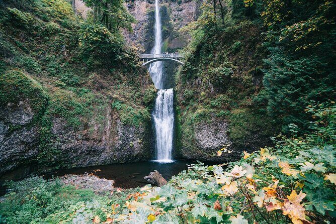 Private Multnomah Falls, Train Ride, & Wine Tour - A Closer Look at the Itinerary and What to Expect