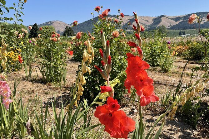 Private Multnomah Falls, Train Ride, & Wine Tour - The Sum Up