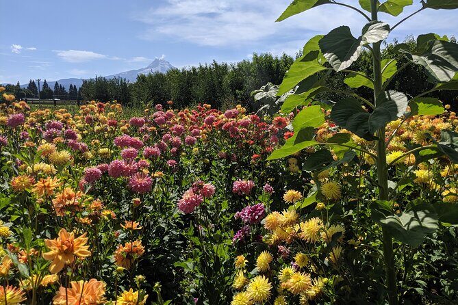 Private Multnomah Falls, Train Ride, & Wine Tour - FAQ