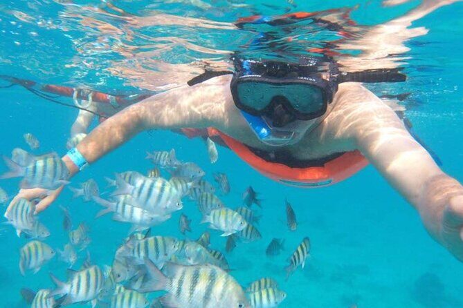 Private MUSA Snorkeling Experience at Isla Mujeres and Cancun - Is It Worth the Price?