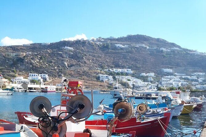 Private Mykonos Airport/Port Luxury Transfer-Taxi - The Booking Process and What You Need to Know