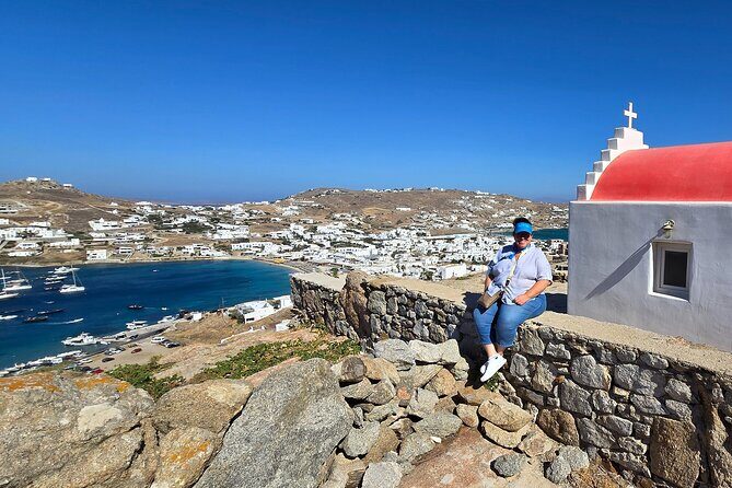 Private Mykonos Island tour by Luxury Minibus up to 11 passengers - Summary