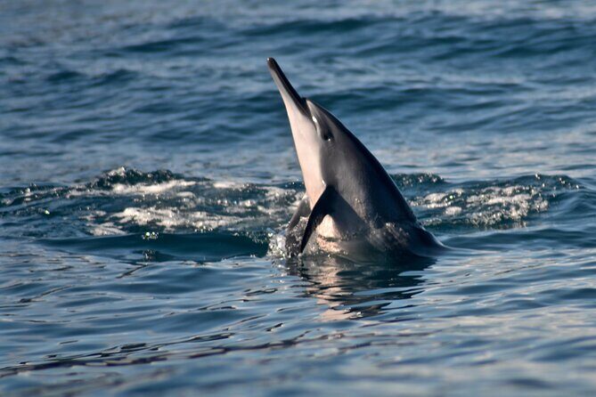 Private Na Pali Coast Tour - FAQ