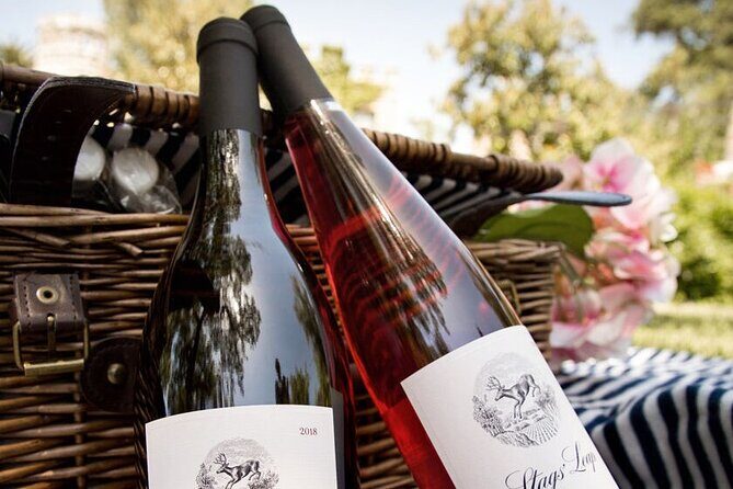 Private Napa Wine Tour Up To 6 Guests - The Experience: Pros & Cons