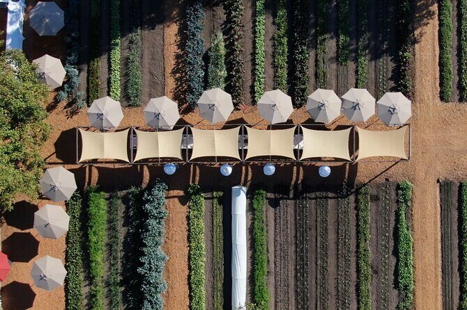 Private Napa Wine Tour Up To 6 Guests - Who Is This Tour Best For?