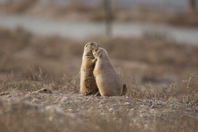 Private Nature Tour for Couples - Transportation and Logistics