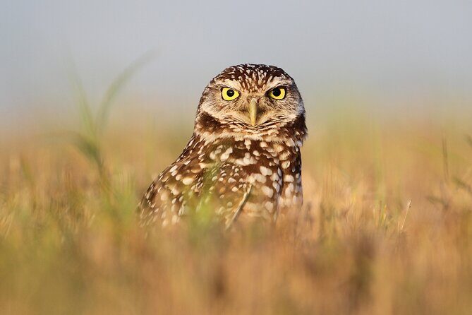 Private Nature Tour for Couples - Price and Value