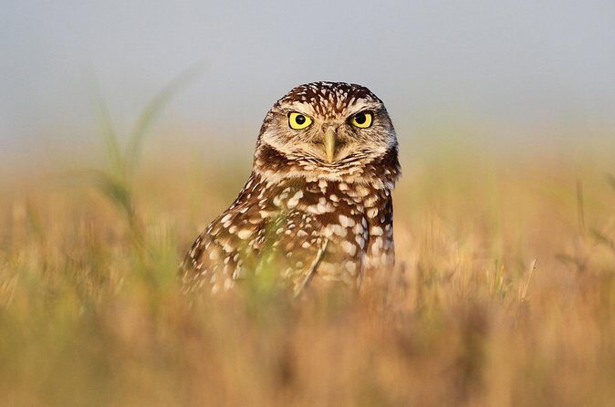 Private Nature Tour for Couples - Who is This Tour Best For?