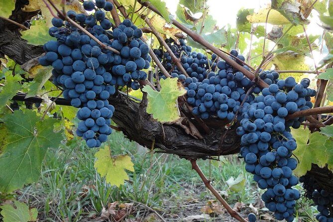 Private Niagara Falls, Niagara-on-the-Lake, Canada - Day Tour with Hotel Pick Up - FAQ