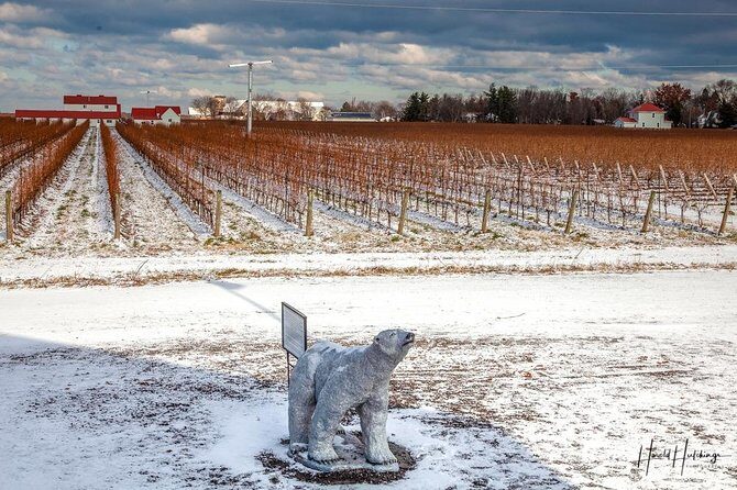 Private Niagara Ice Wine Tour - Pricing and Value