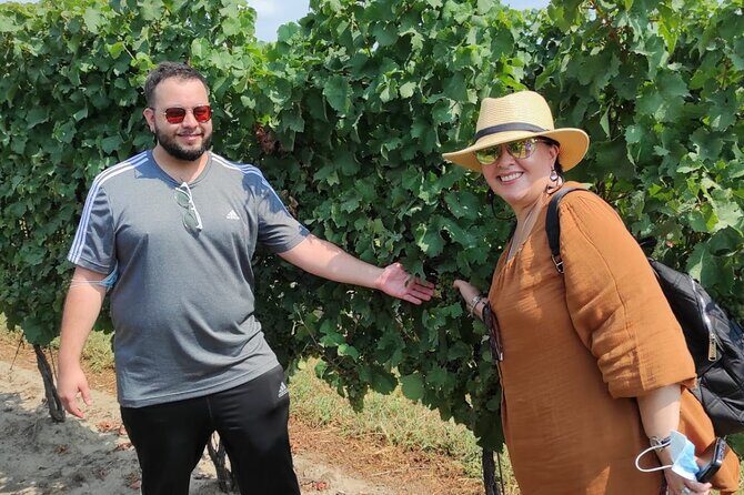 Private Niagara Wine Tour with Cheese and Charcuterie - What You Can Expect from the Tour