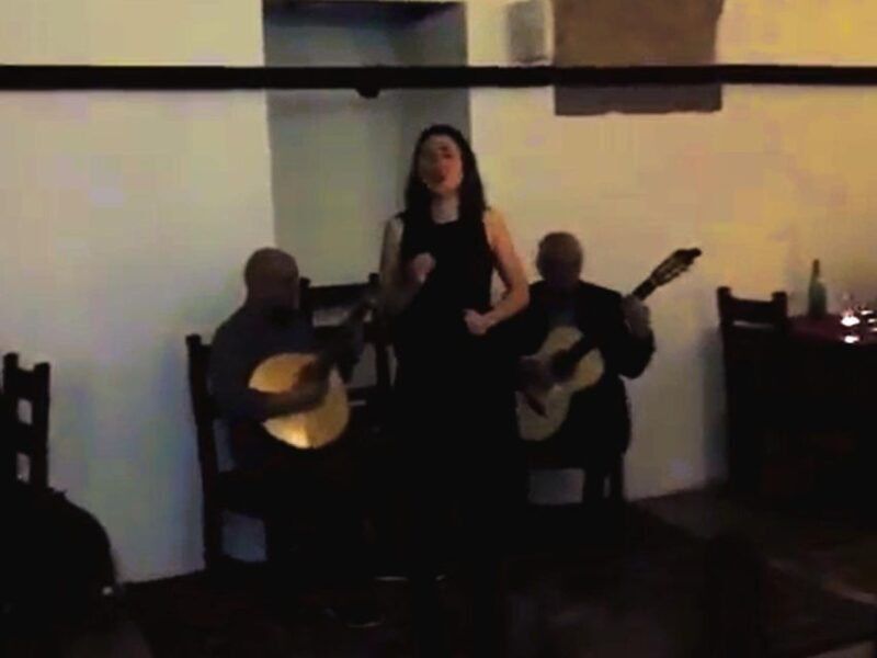 Private night tour, authentic Fado show & Portuguese dinner - A Deep Dive into the Experience