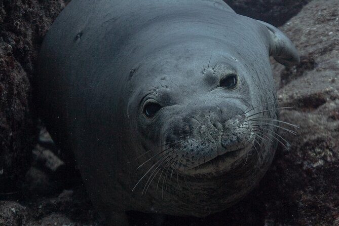Private Niihau Scenic Snorkel - Final Thoughts