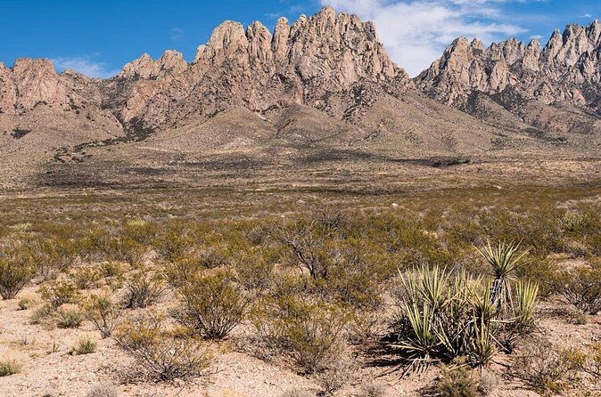 Private NM Taxi Service- Statewide - What Travelers Say (Based on reviews)